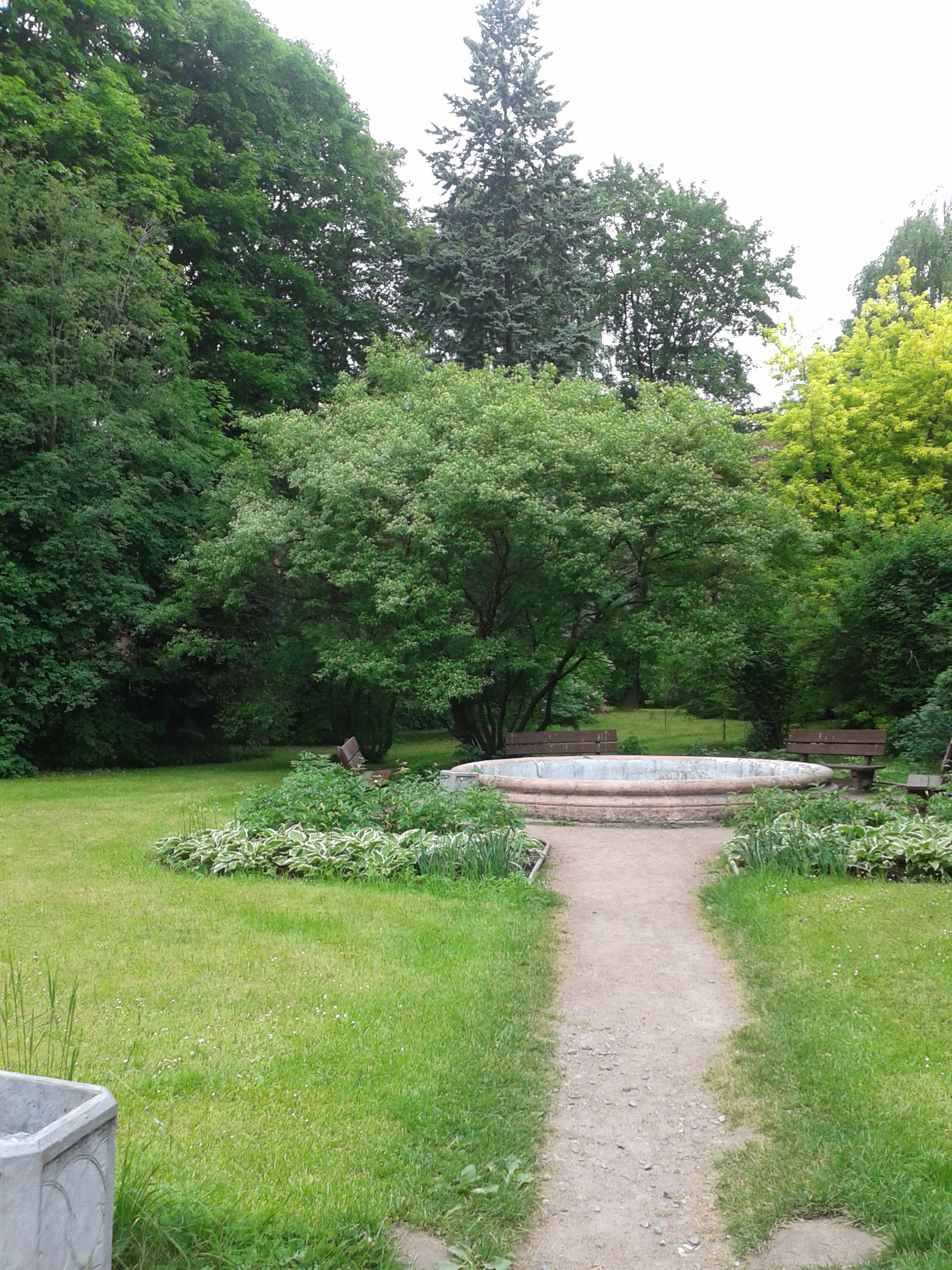 Фонтаны Ботанического сада им. Петра Великого